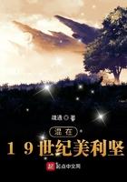 混在19世纪美利坚起