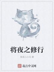 将夜修行的12种境界说明